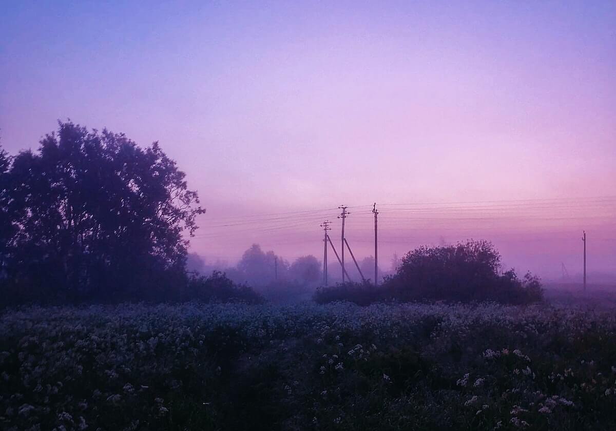 九游APP-赛事官方分享Bdd狐狸精彩单杀：要么全都带走，要么一无所有